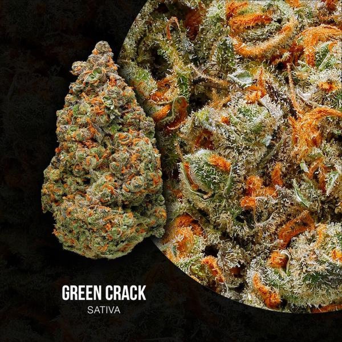 strawberry cough vs green crack